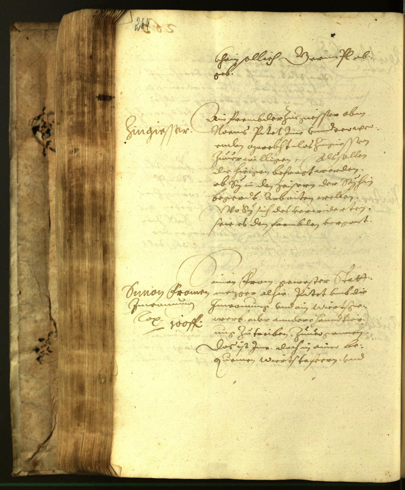 Stadtarchiv Bozen - BOhisto Ratsprotokoll 1617 