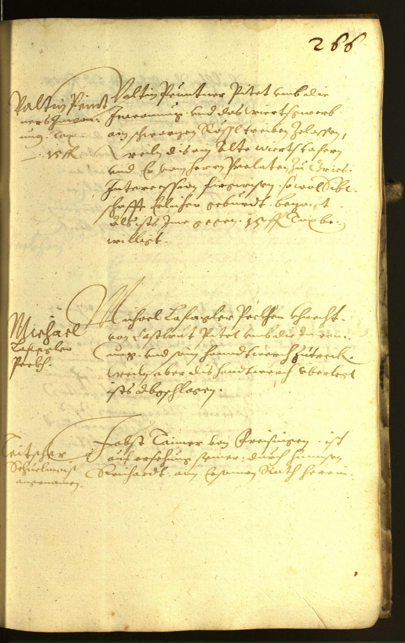 Stadtarchiv Bozen - BOhisto Ratsprotokoll 1617 