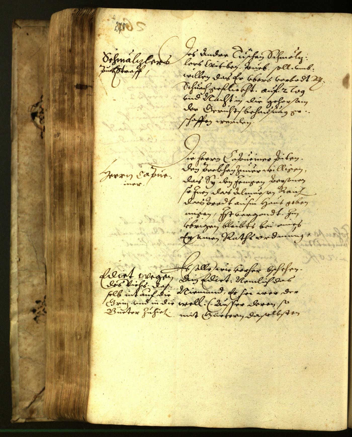 Stadtarchiv Bozen - BOhisto Ratsprotokoll 1617 