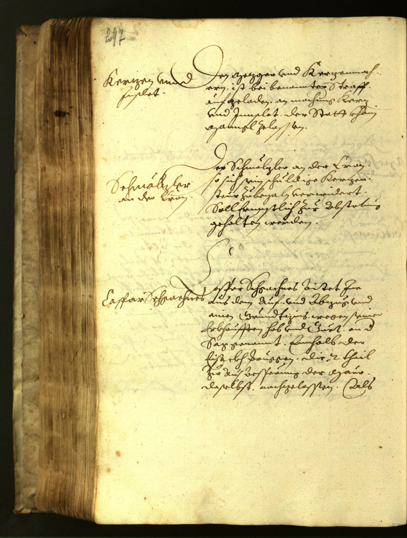 Civic Archives of Bozen-Bolzano - BOhisto Minutes of the council 1617 