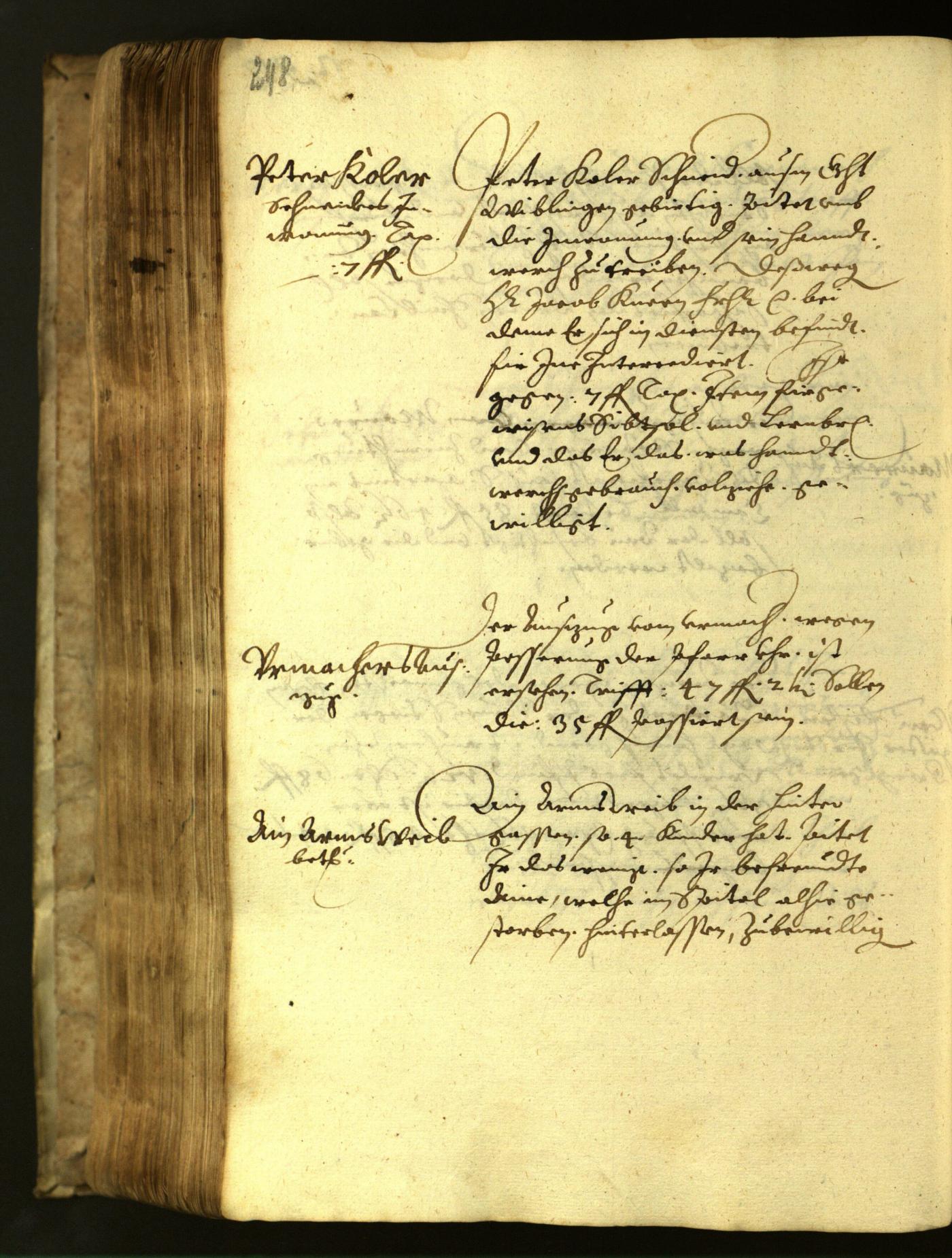 Civic Archives of Bozen-Bolzano - BOhisto Minutes of the council 1617 