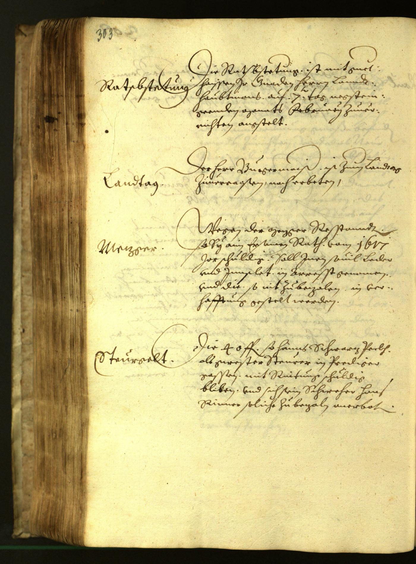 Civic Archives of Bozen-Bolzano - BOhisto Minutes of the council 1617 