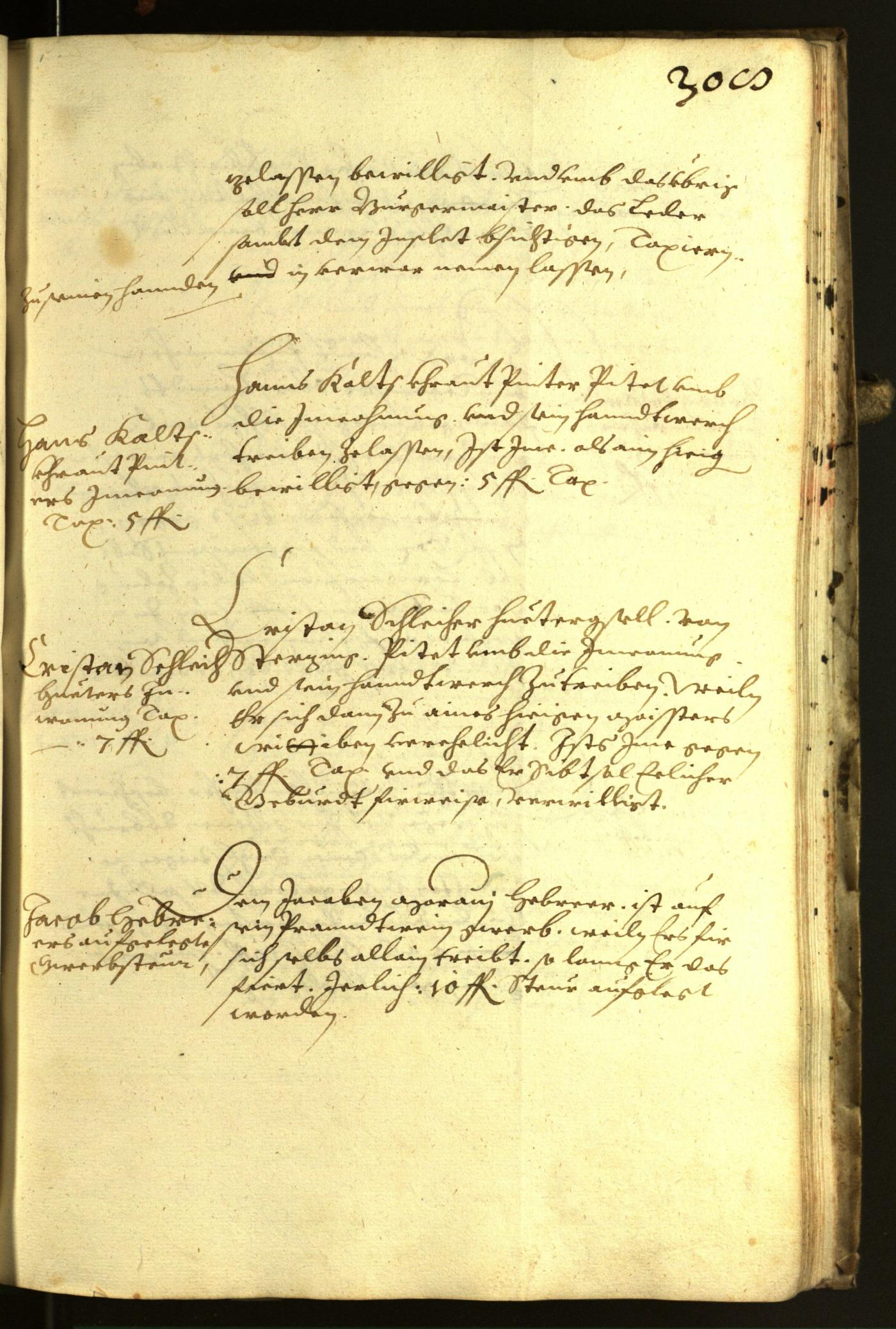 Civic Archives of Bozen-Bolzano - BOhisto Minutes of the council 1617 