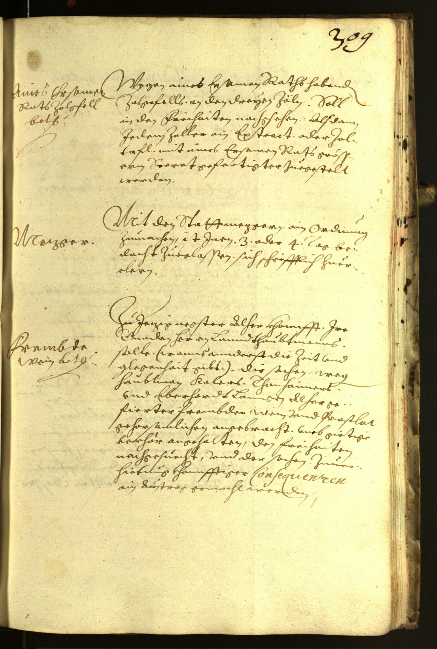 Civic Archives of Bozen-Bolzano - BOhisto Minutes of the council 1617 