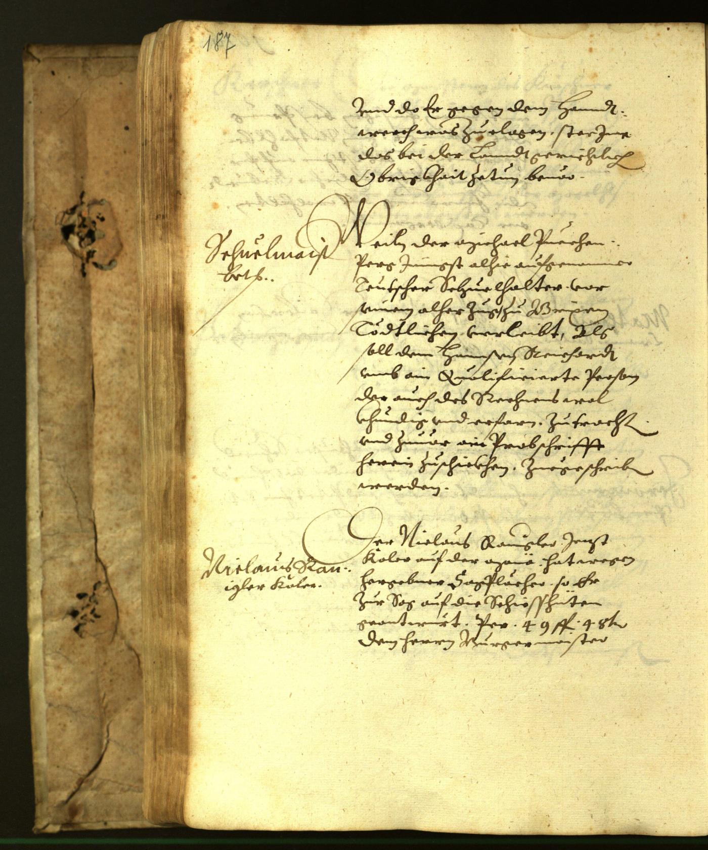 Stadtarchiv Bozen - BOhisto Ratsprotokoll 1617 