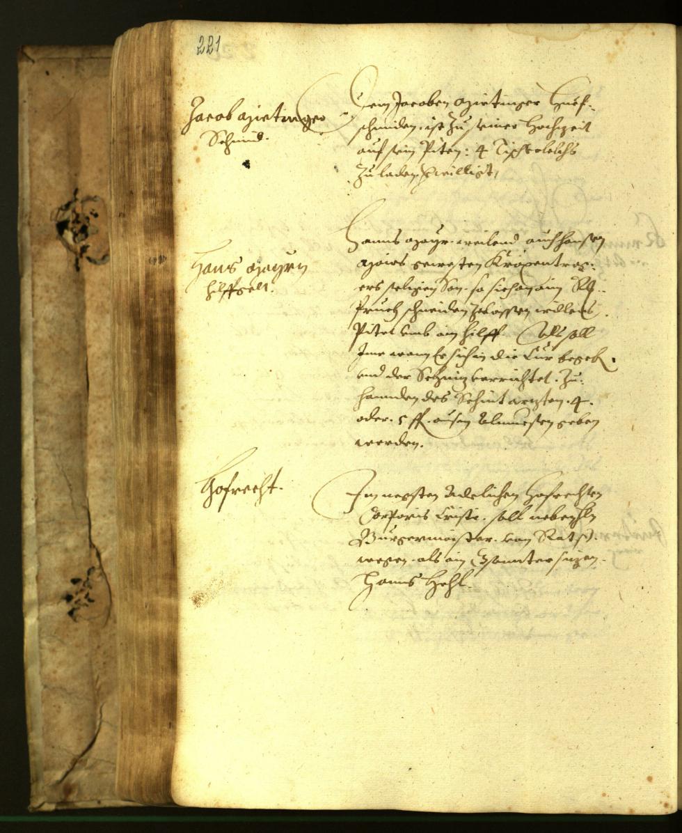 Civic Archives of Bozen-Bolzano - BOhisto Minutes of the council 1617 