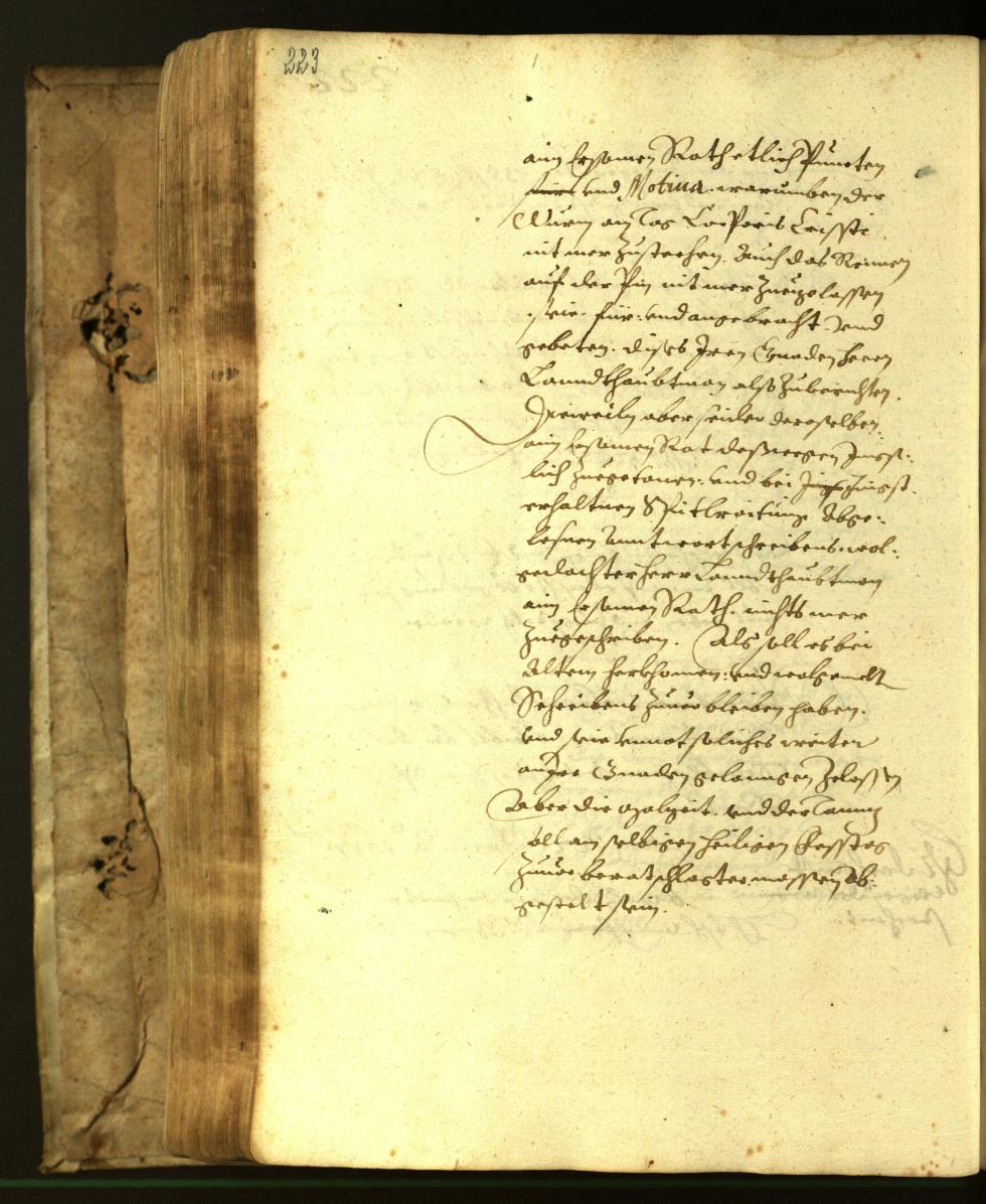 Archivio Storico della Città di Bolzano - BOhisto protocollo consiliare 1617 