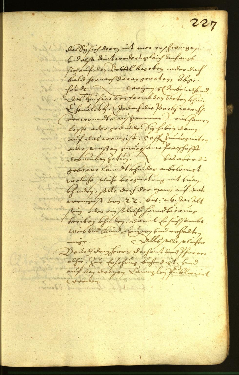 Civic Archives of Bozen-Bolzano - BOhisto Minutes of the council 1617 