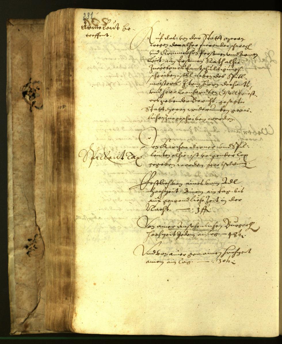 Stadtarchiv Bozen - BOhisto Ratsprotokoll 1617 