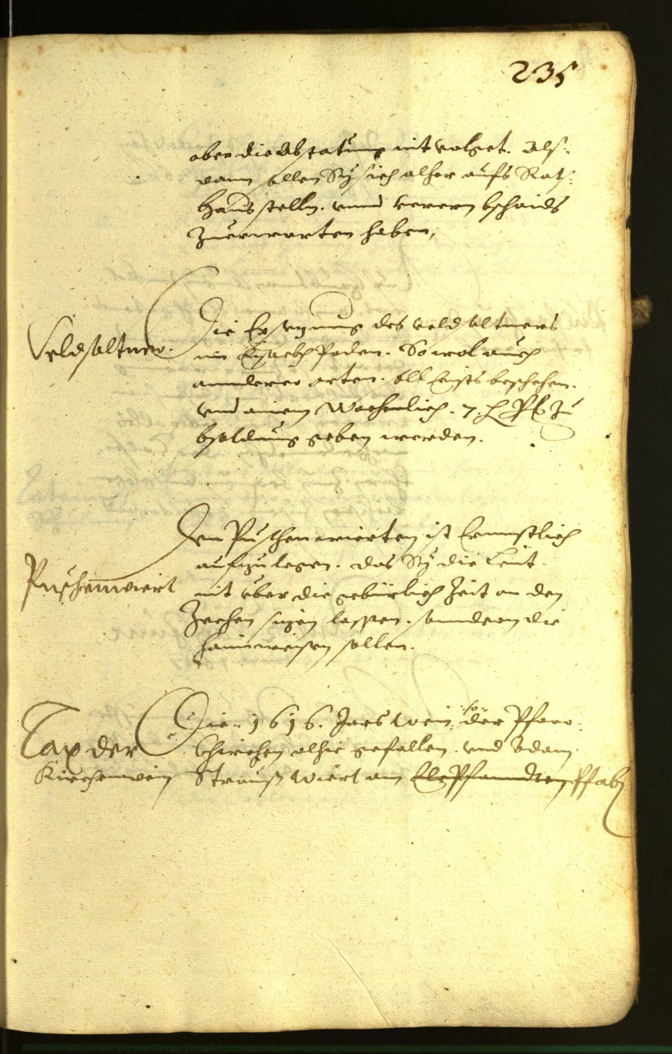 Civic Archives of Bozen-Bolzano - BOhisto Minutes of the council 1617 