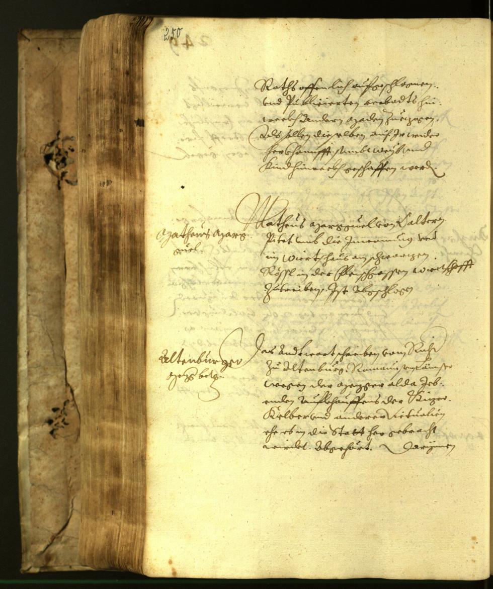 Stadtarchiv Bozen - BOhisto Ratsprotokoll 1617 