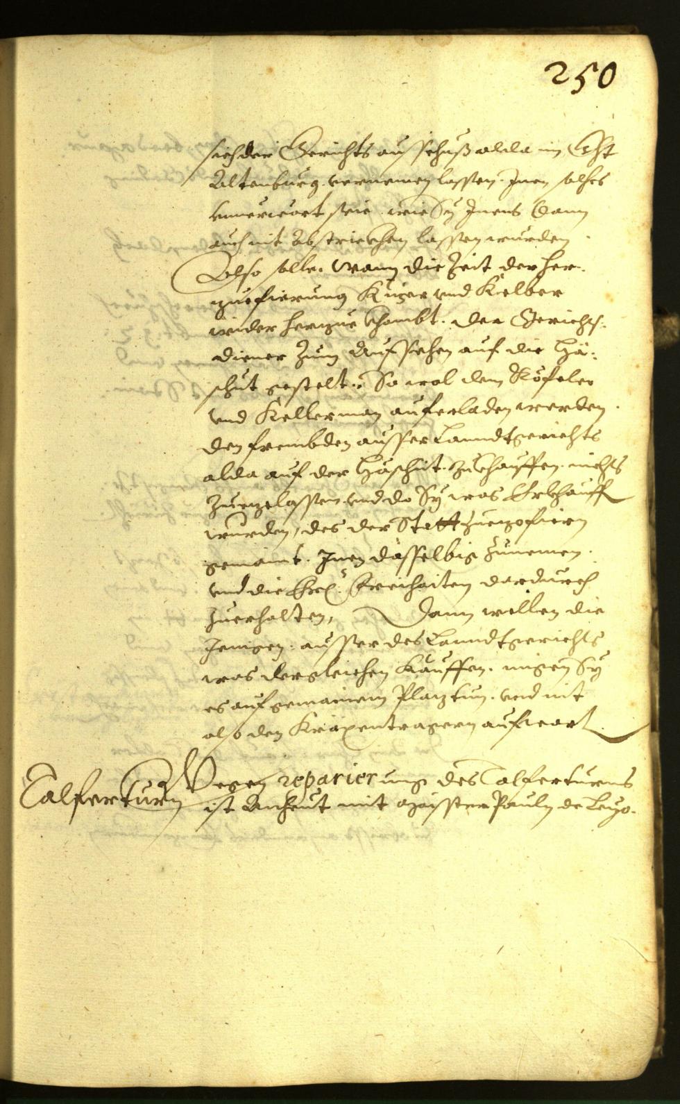 Archivio Storico della Città di Bolzano - BOhisto protocollo consiliare 1617 