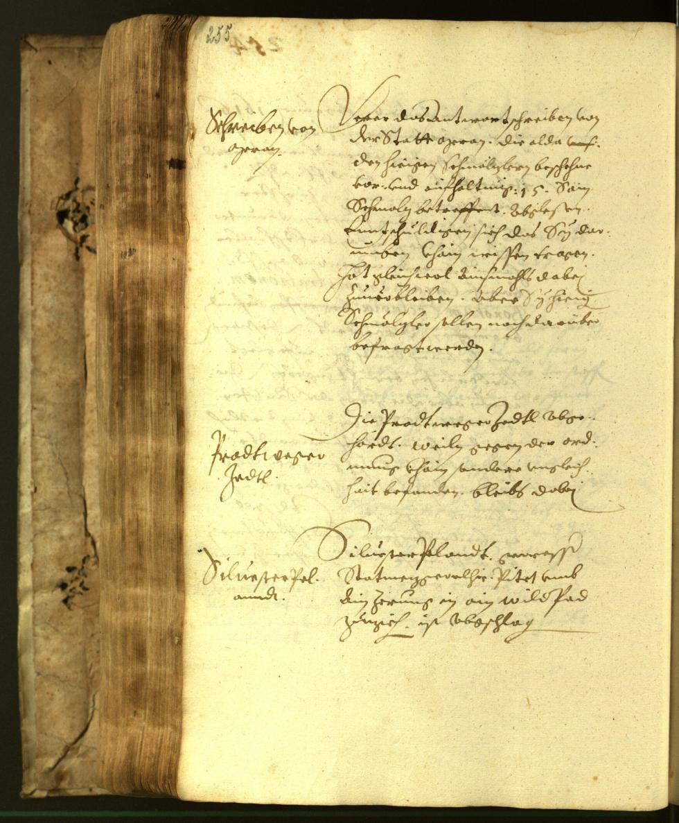 Stadtarchiv Bozen - BOhisto Ratsprotokoll 1617 