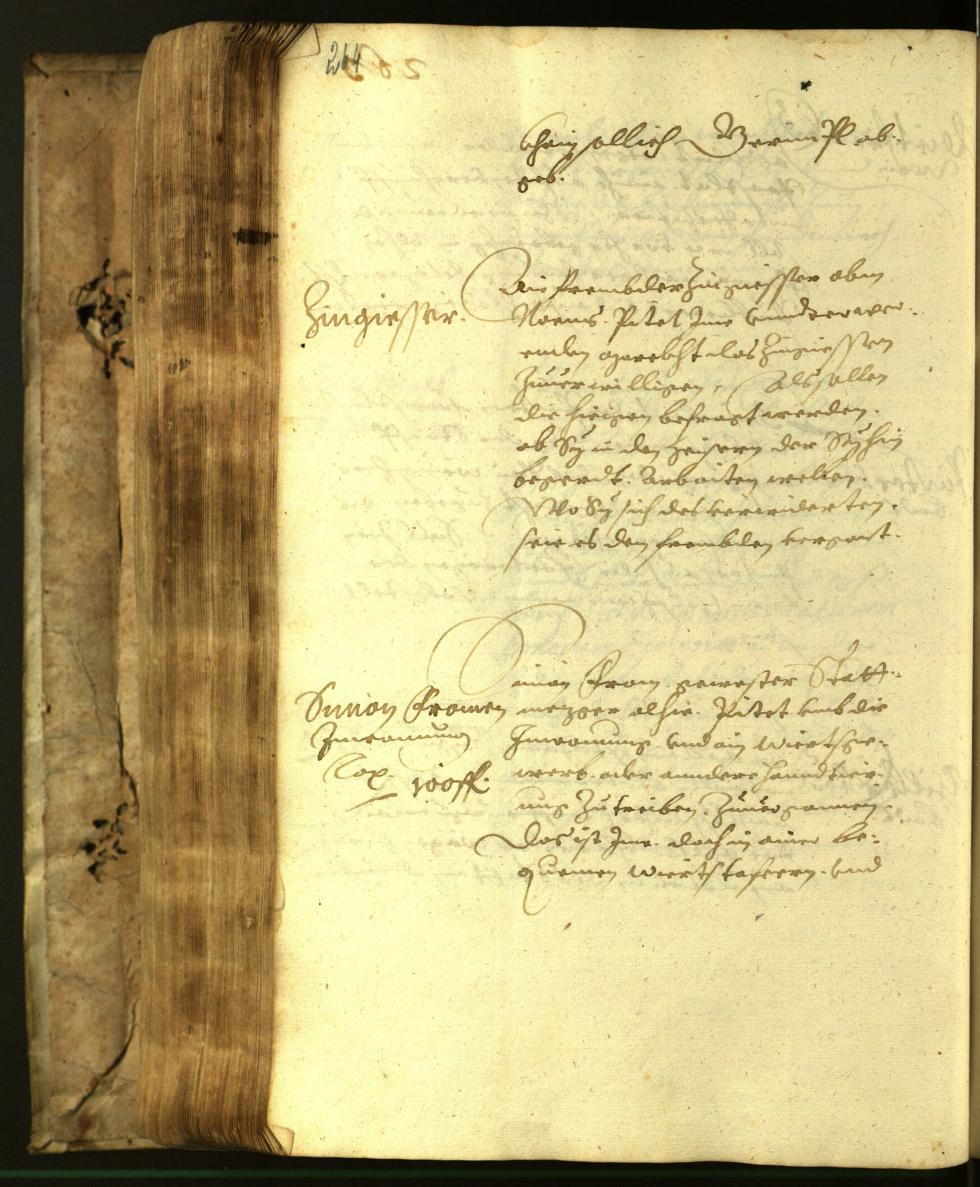 Archivio Storico della Città di Bolzano - BOhisto protocollo consiliare 1617 