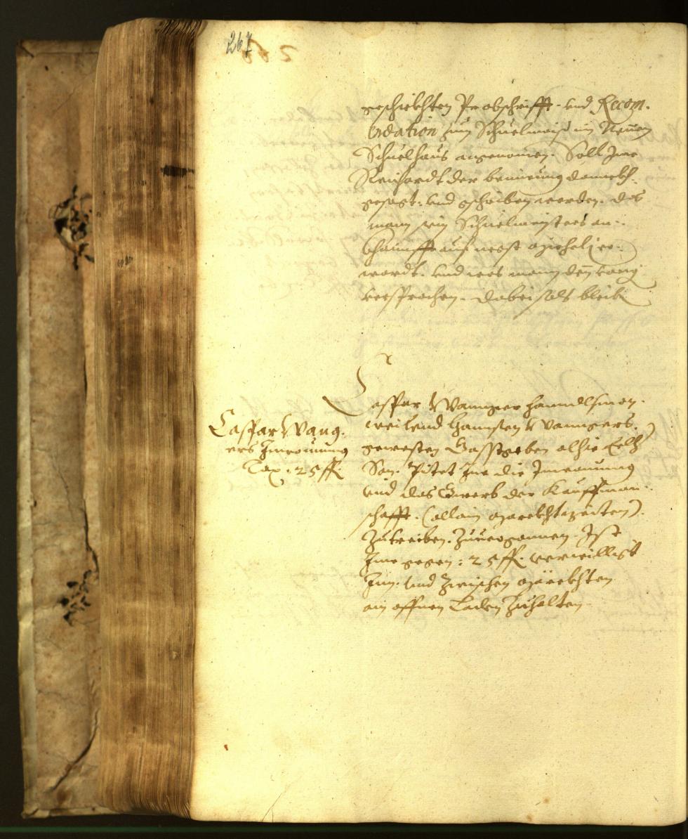 Archivio Storico della Città di Bolzano - BOhisto protocollo consiliare 1617 