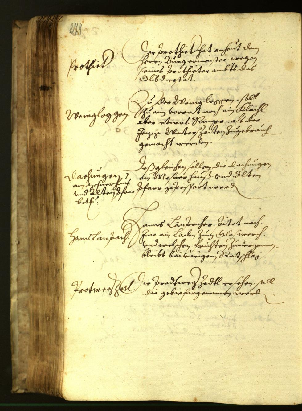 Civic Archives of Bozen-Bolzano - BOhisto Minutes of the council 1617 