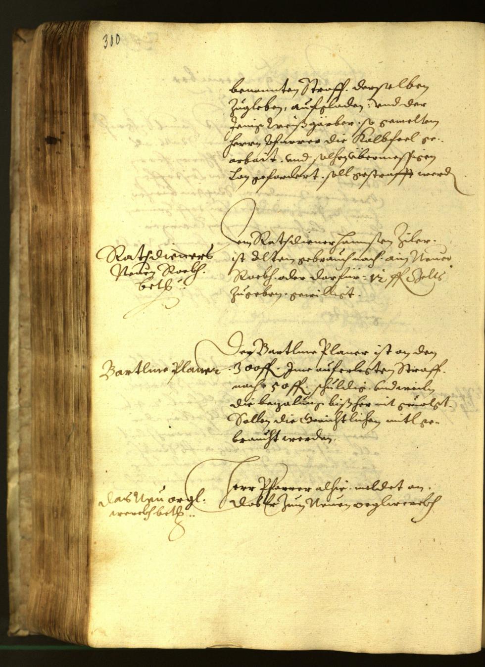 Civic Archives of Bozen-Bolzano - BOhisto Minutes of the council 1617 