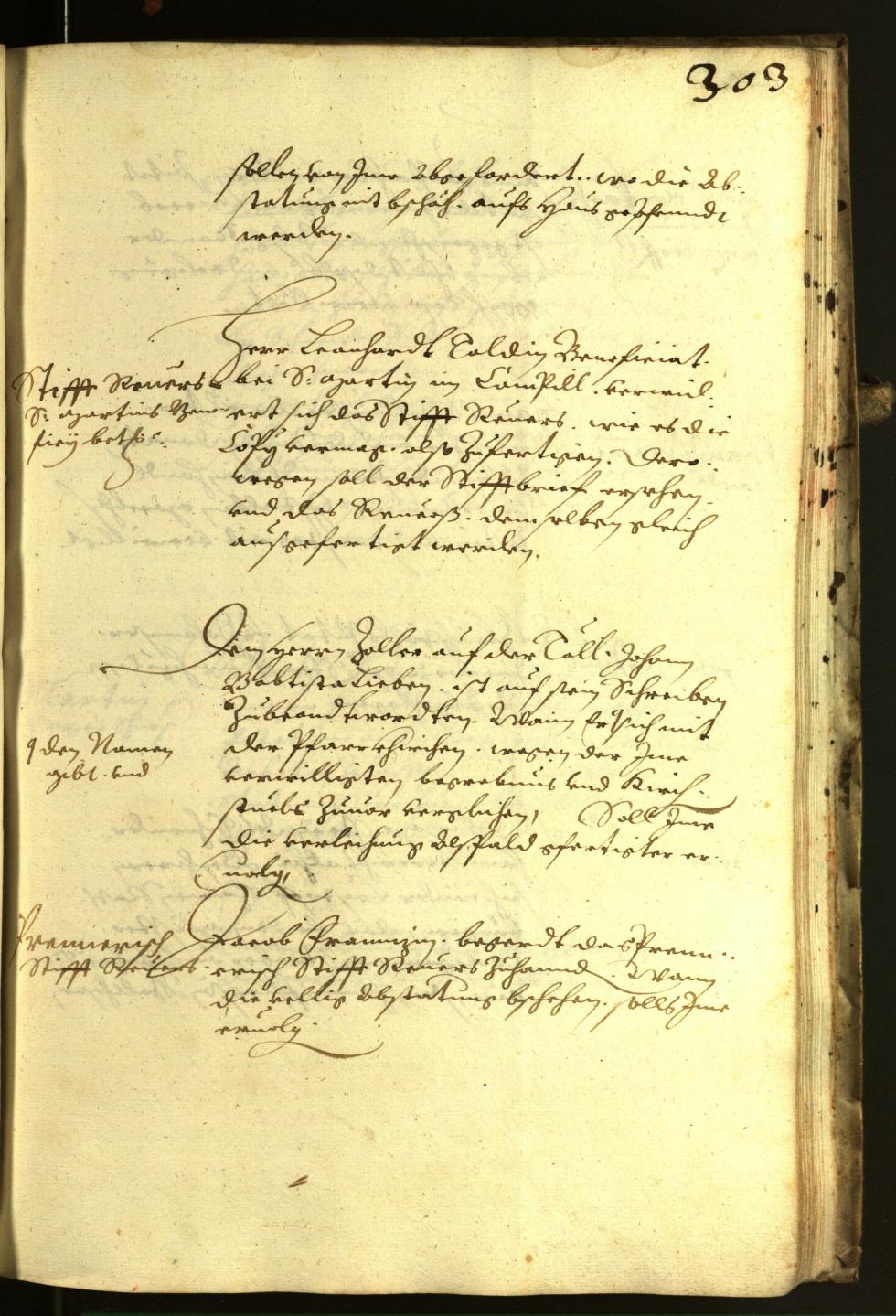 Civic Archives of Bozen-Bolzano - BOhisto Minutes of the council 1617 