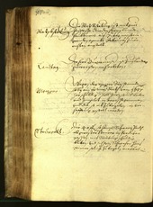 Civic Archives of Bozen-Bolzano - BOhisto Minutes of the council 1617 - 