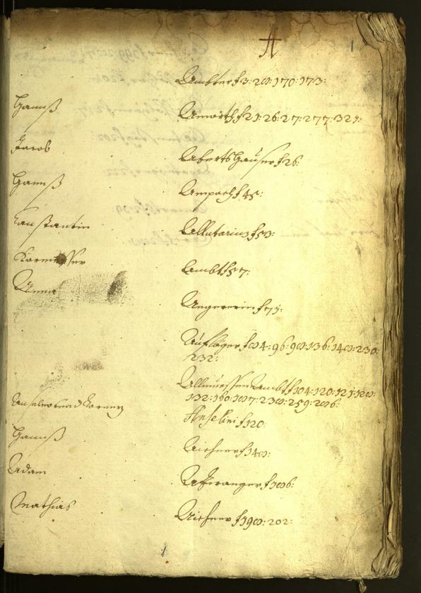 Stadtarchiv Bozen - BOhisto Ratsprotokoll 1618/19 