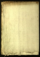 Archivio Storico della Città di Bolzano - BOhisto protocollo consiliare 1618/19 - 