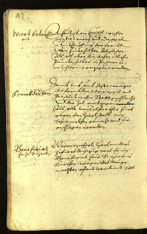 Civic Archives of Bozen-Bolzano - BOhisto Minutes of the council 1618 