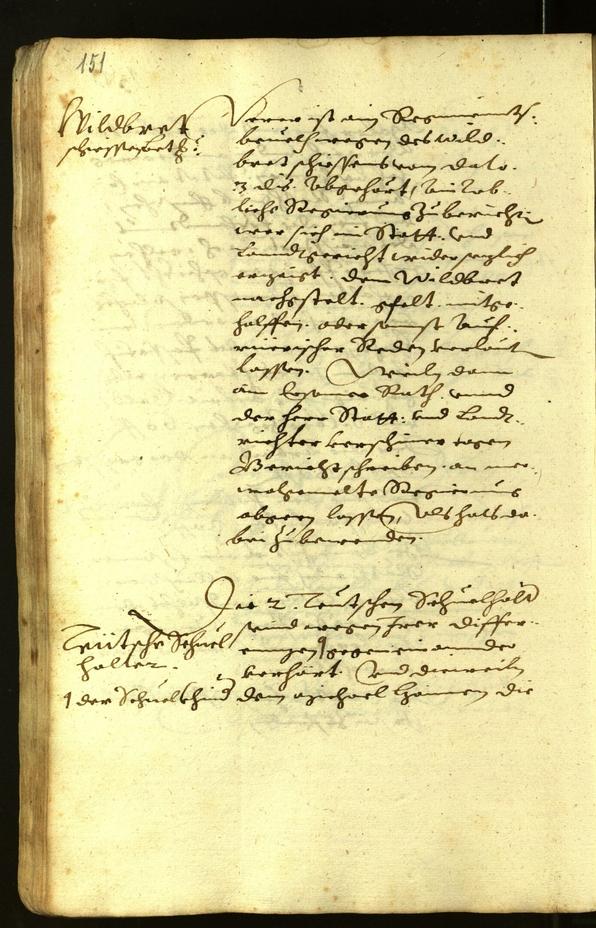 Civic Archives of Bozen-Bolzano - BOhisto Minutes of the council 1618 