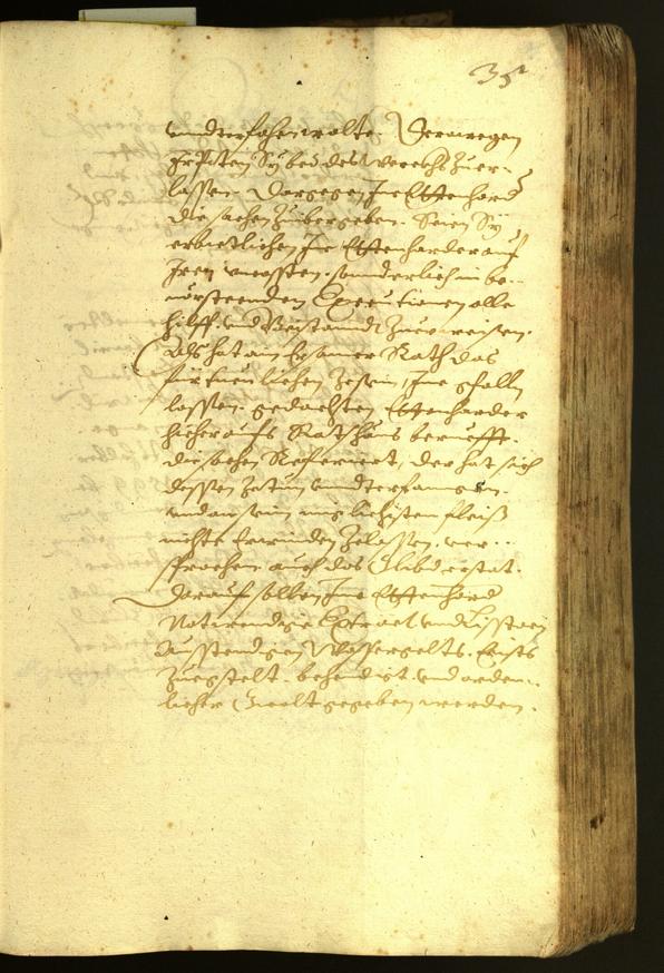 Civic Archives of Bozen-Bolzano - BOhisto Minutes of the council 1618 