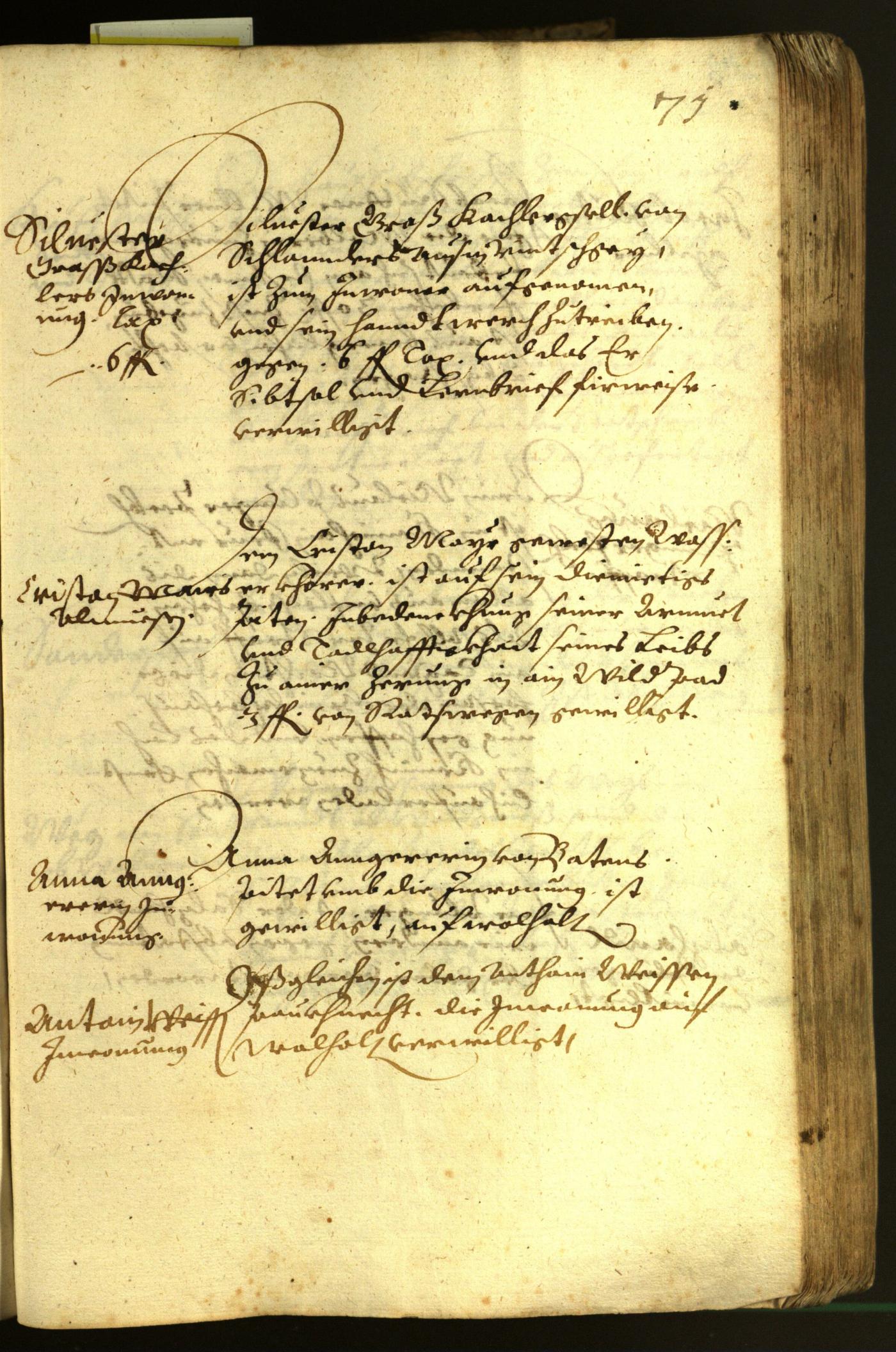 Stadtarchiv Bozen - BOhisto Ratsprotokoll 1618 