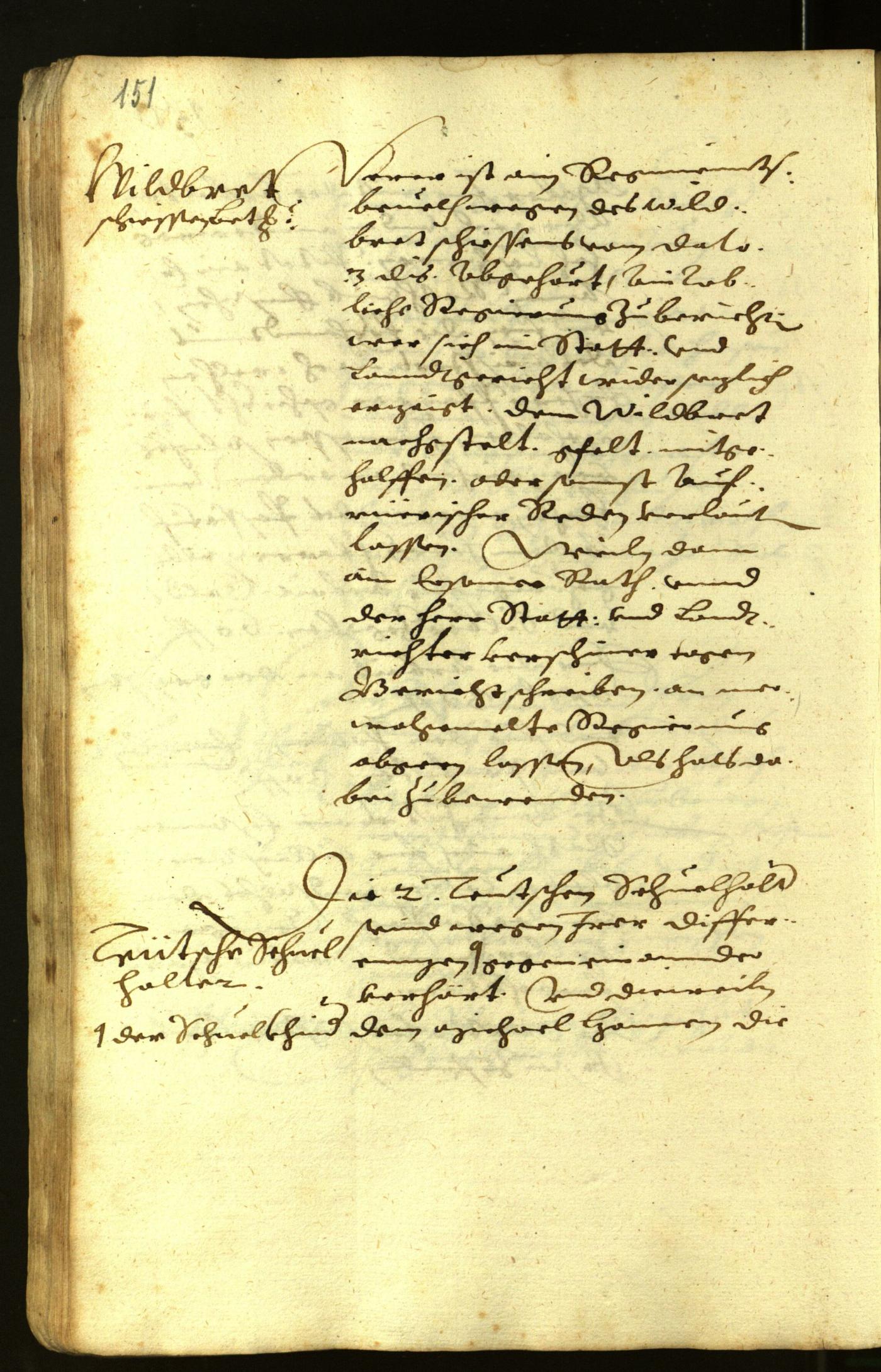 Stadtarchiv Bozen - BOhisto Ratsprotokoll 1618 