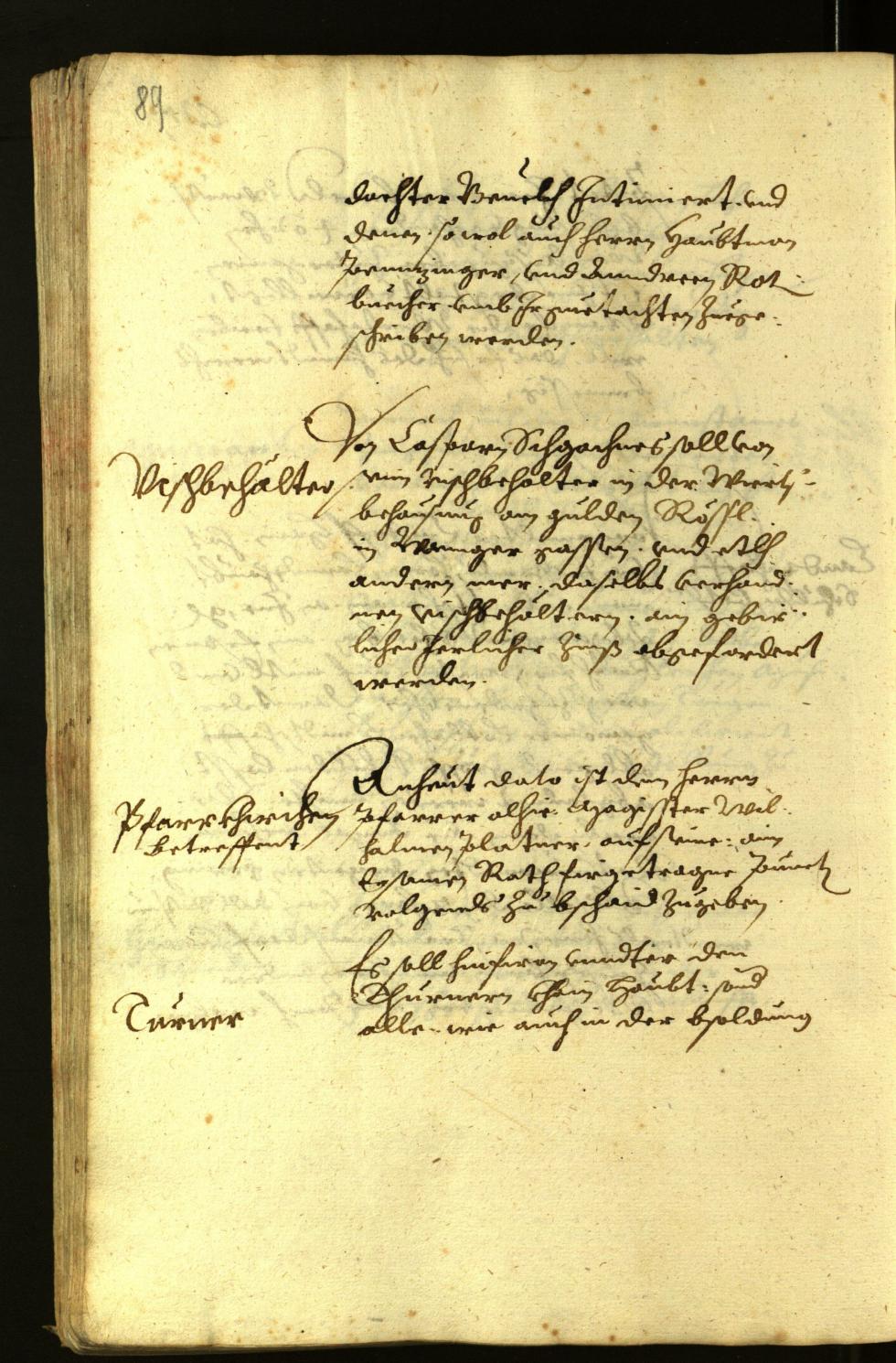 Civic Archives of Bozen-Bolzano - BOhisto Minutes of the council 1618 