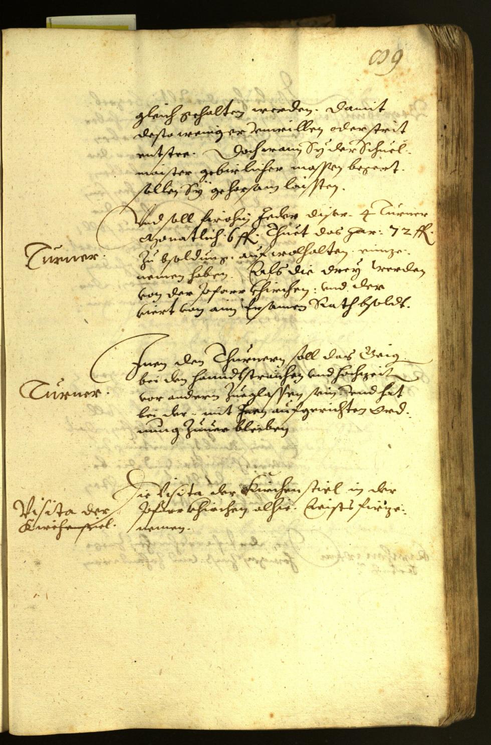 Civic Archives of Bozen-Bolzano - BOhisto Minutes of the council 1618 