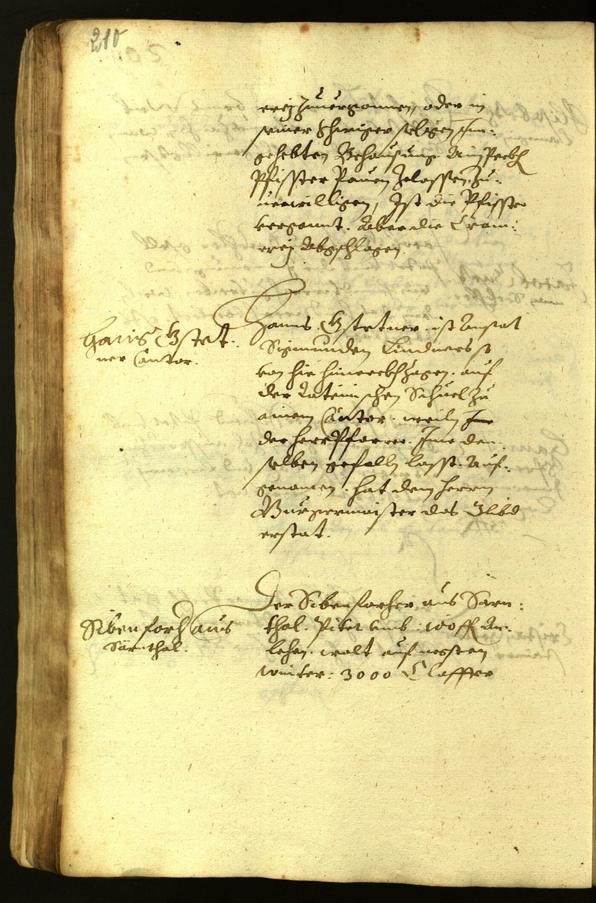 Civic Archives of Bozen-Bolzano - BOhisto Minutes of the council 1619 