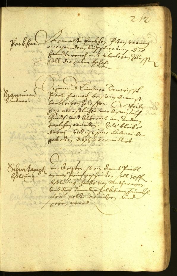 Civic Archives of Bozen-Bolzano - BOhisto Minutes of the council 1619 