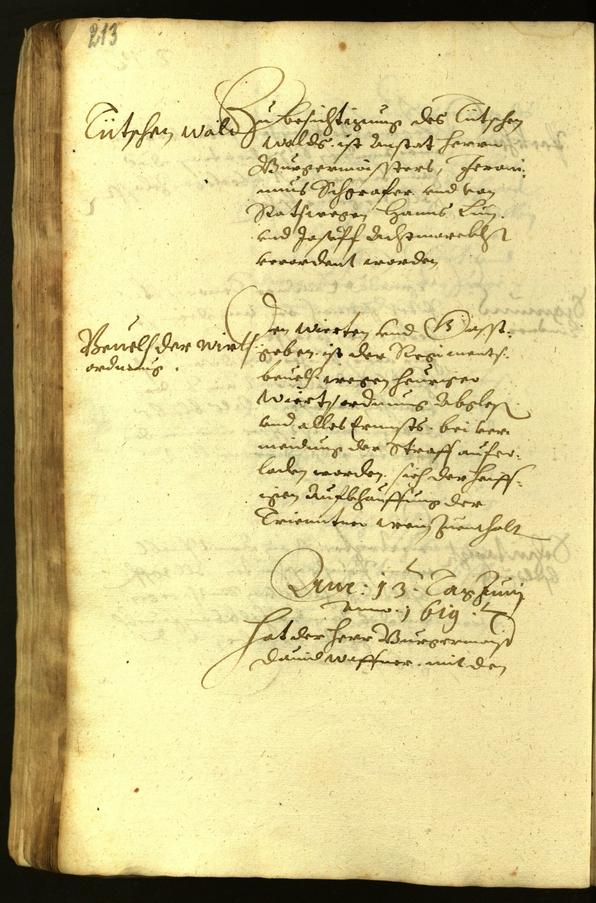 Civic Archives of Bozen-Bolzano - BOhisto Minutes of the council 1619 