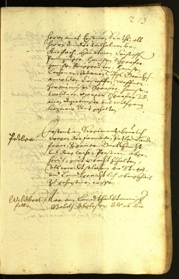 Civic Archives of Bozen-Bolzano - BOhisto Minutes of the council 1619 