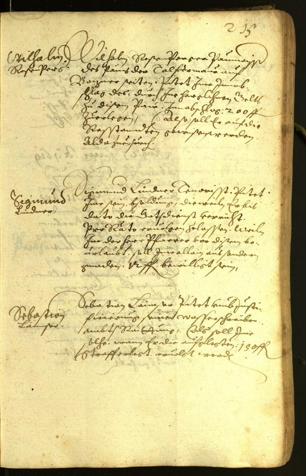 Civic Archives of Bozen-Bolzano - BOhisto Minutes of the council 1619 