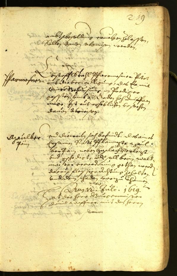 Civic Archives of Bozen-Bolzano - BOhisto Minutes of the council 1619 