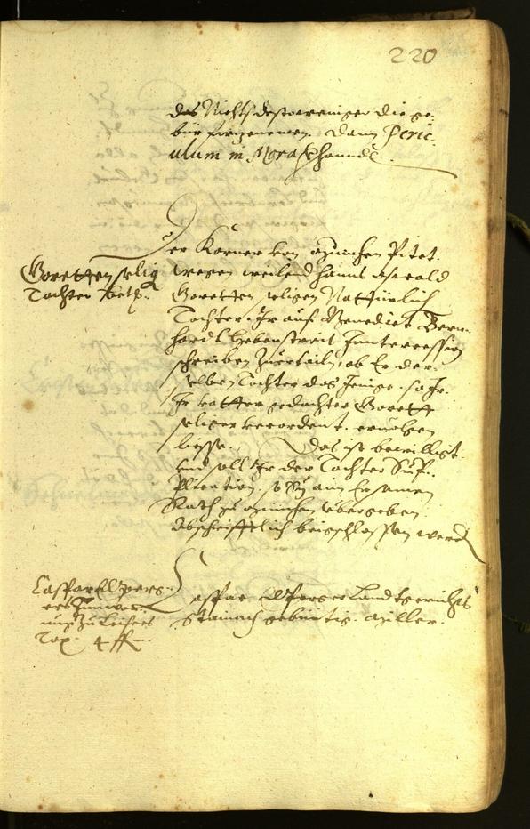 Civic Archives of Bozen-Bolzano - BOhisto Minutes of the council 1619 