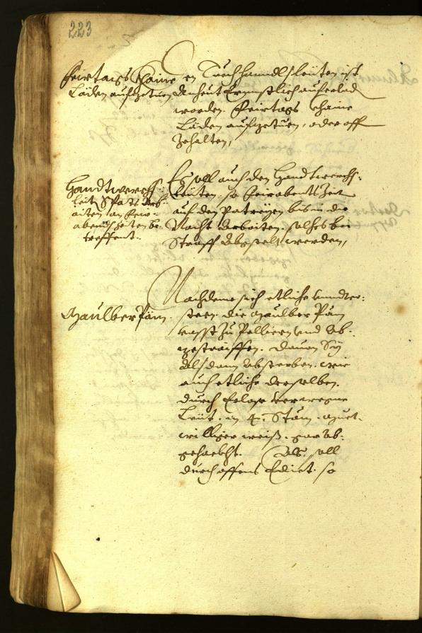 Civic Archives of Bozen-Bolzano - BOhisto Minutes of the council 1619 