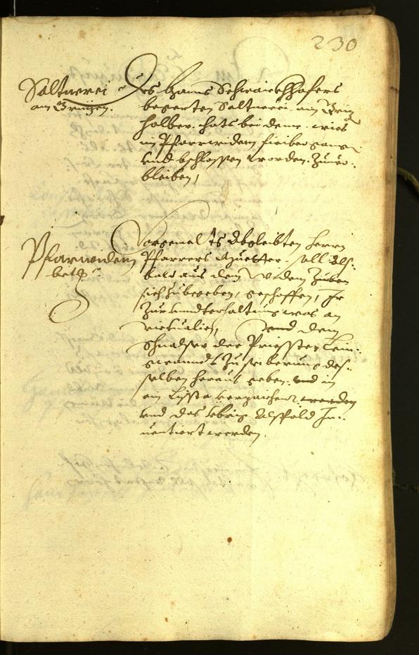 Civic Archives of Bozen-Bolzano - BOhisto Minutes of the council 1619 