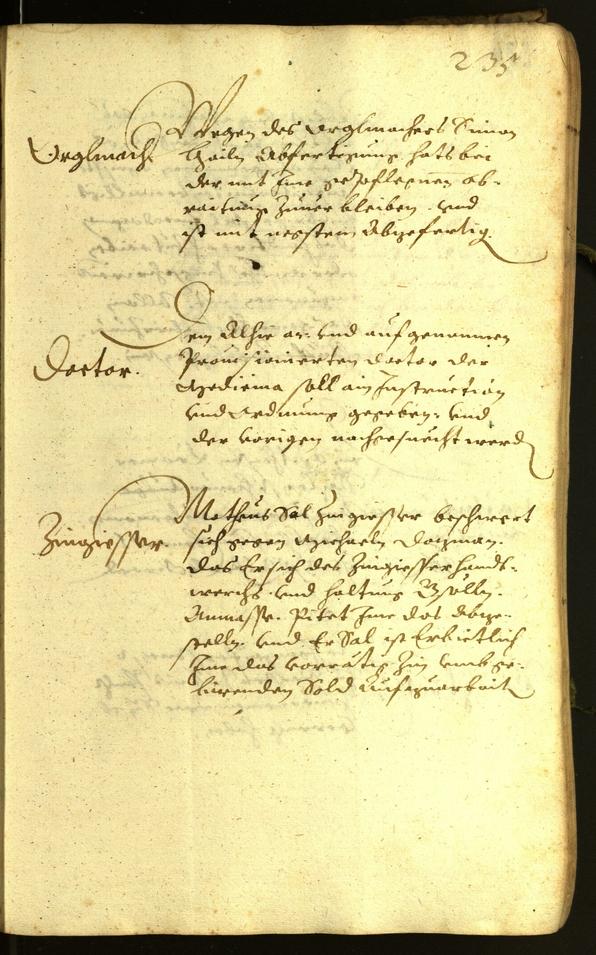 Civic Archives of Bozen-Bolzano - BOhisto Minutes of the council 1619 