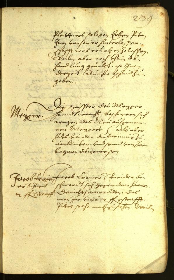 Civic Archives of Bozen-Bolzano - BOhisto Minutes of the council 1619 