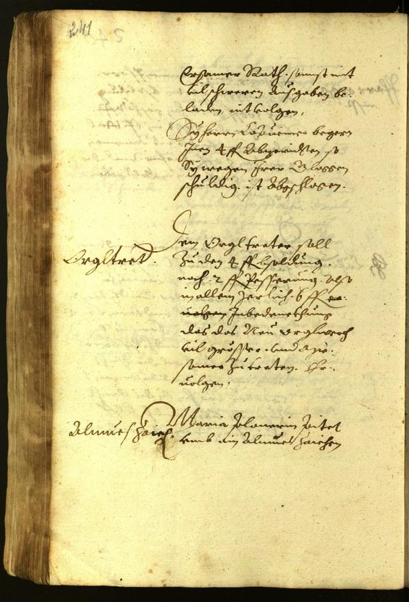 Civic Archives of Bozen-Bolzano - BOhisto Minutes of the council 1619 