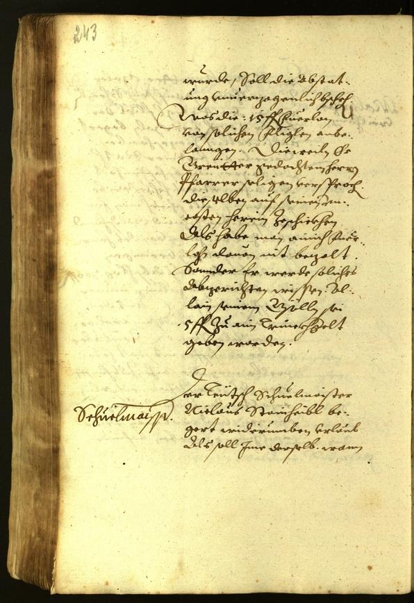 Stadtarchiv Bozen - BOhisto Ratsprotokoll 1619 