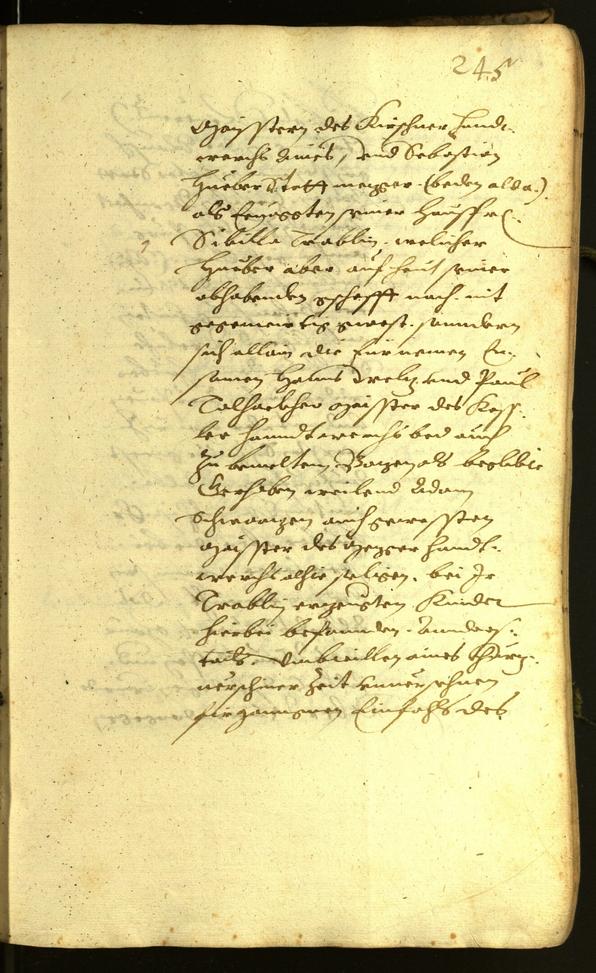 Civic Archives of Bozen-Bolzano - BOhisto Minutes of the council 1619 