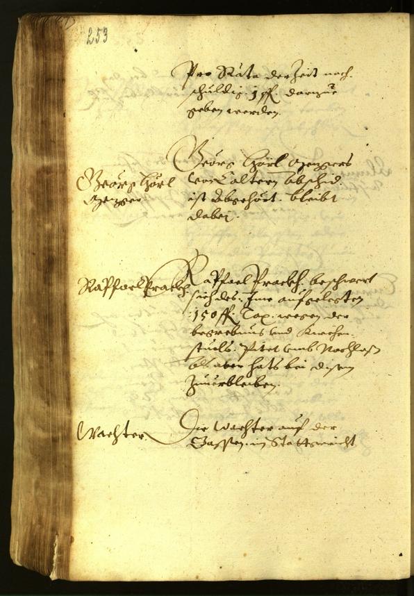 Civic Archives of Bozen-Bolzano - BOhisto Minutes of the council 1619 