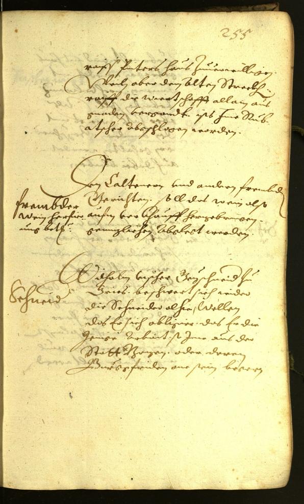 Civic Archives of Bozen-Bolzano - BOhisto Minutes of the council 1619 