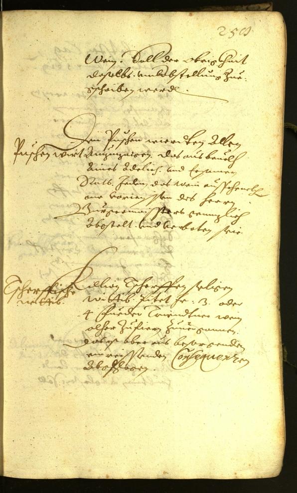 Civic Archives of Bozen-Bolzano - BOhisto Minutes of the council 1619 