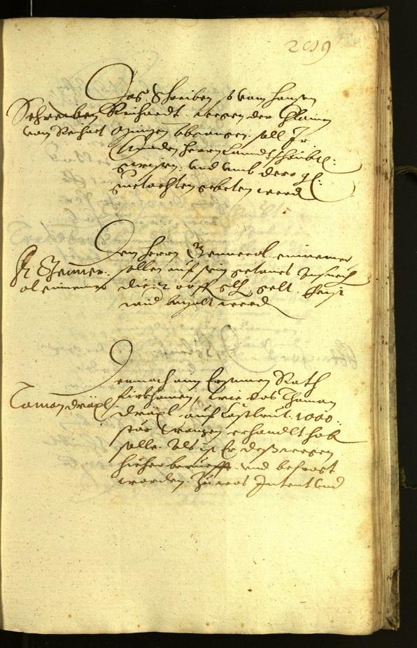 Civic Archives of Bozen-Bolzano - BOhisto Minutes of the council 1619 